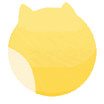回头看